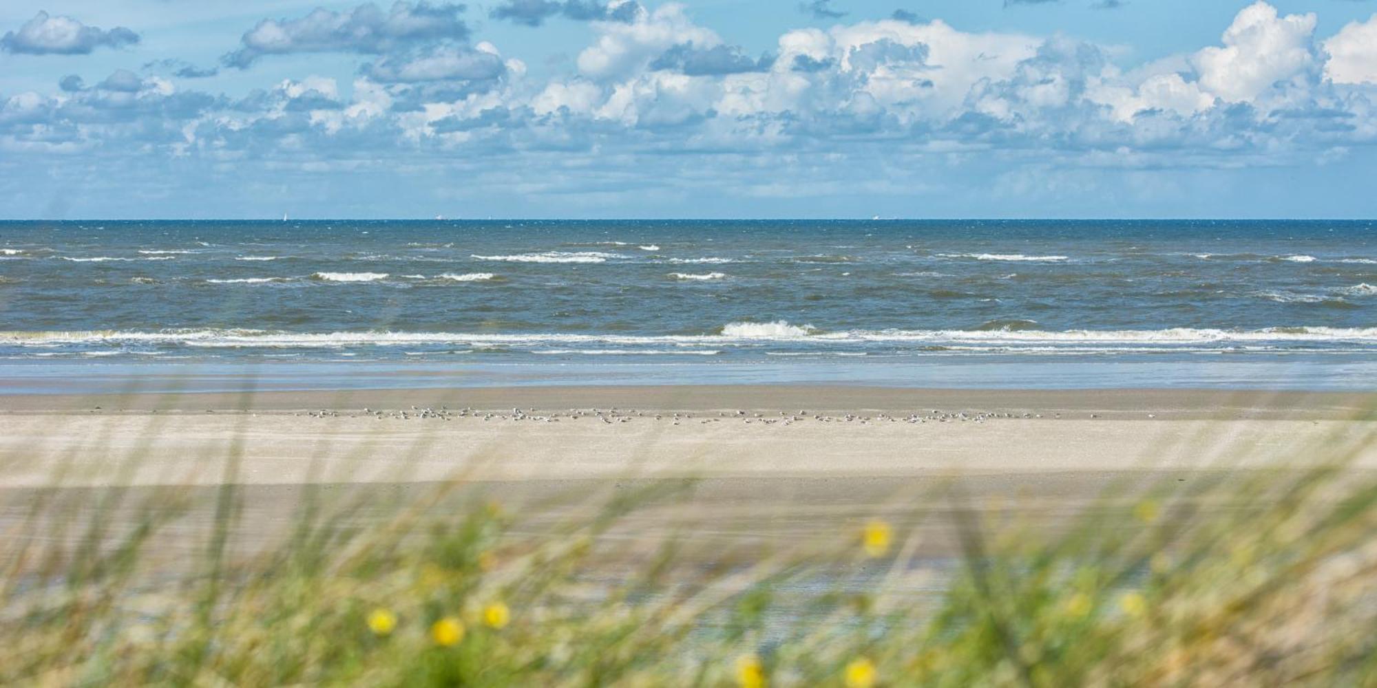 Deichblick Suederloog 38 Villa Spiekeroog Exterior photo